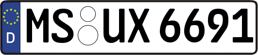 MS-UX6691