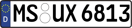 MS-UX6813