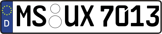 MS-UX7013