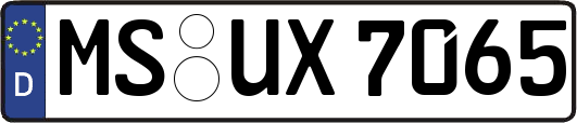 MS-UX7065
