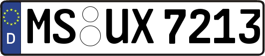 MS-UX7213