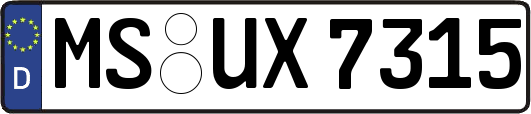 MS-UX7315