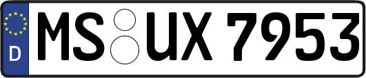 MS-UX7953