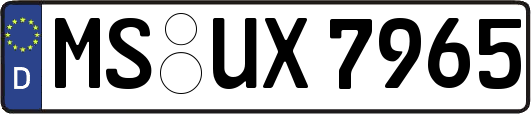 MS-UX7965