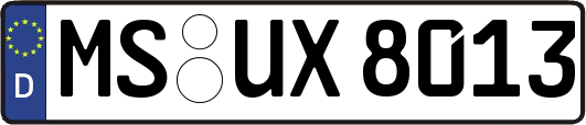MS-UX8013