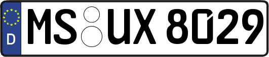 MS-UX8029