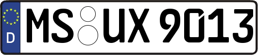 MS-UX9013