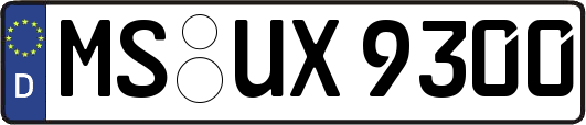 MS-UX9300