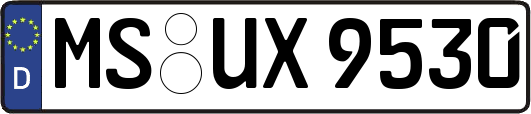 MS-UX9530