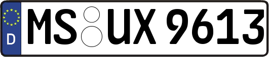 MS-UX9613