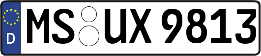 MS-UX9813