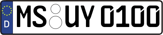 MS-UY0100