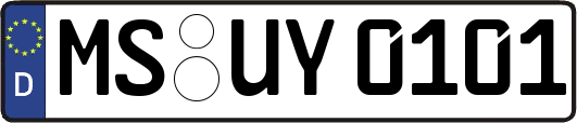 MS-UY0101