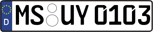 MS-UY0103