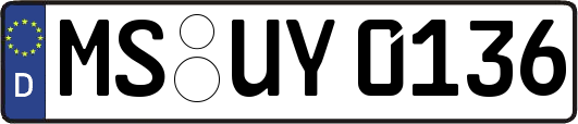 MS-UY0136