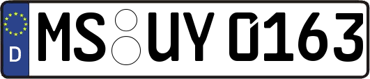 MS-UY0163