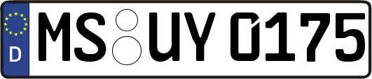 MS-UY0175