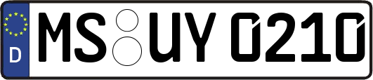MS-UY0210