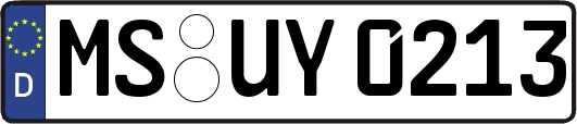 MS-UY0213