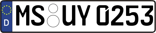 MS-UY0253