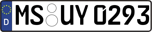 MS-UY0293