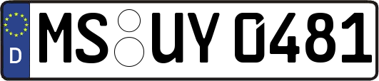 MS-UY0481