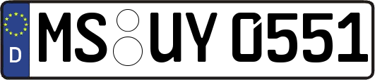 MS-UY0551