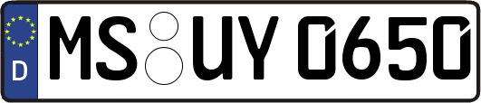 MS-UY0650