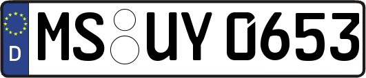 MS-UY0653