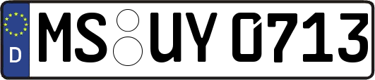 MS-UY0713