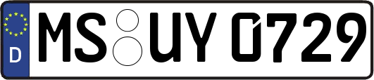 MS-UY0729