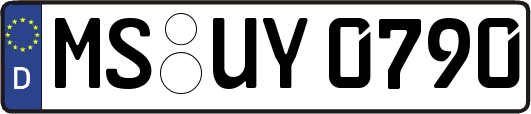 MS-UY0790