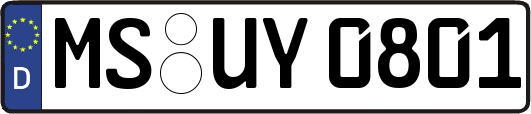 MS-UY0801