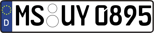 MS-UY0895