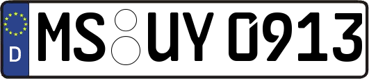 MS-UY0913