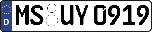 MS-UY0919