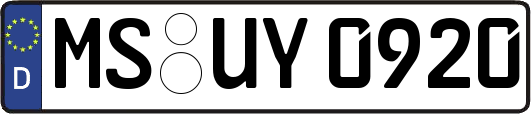 MS-UY0920