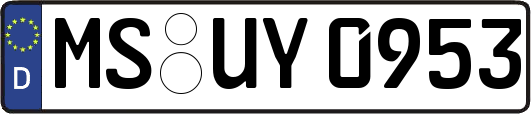 MS-UY0953