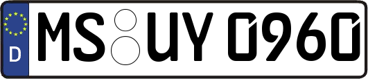 MS-UY0960