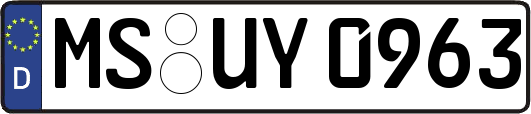 MS-UY0963