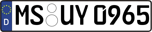 MS-UY0965