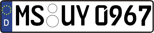 MS-UY0967