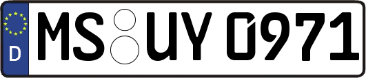 MS-UY0971