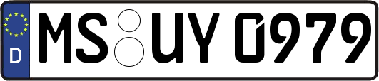 MS-UY0979