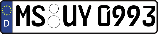 MS-UY0993