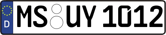 MS-UY1012