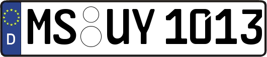 MS-UY1013