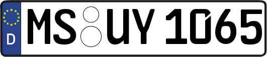 MS-UY1065