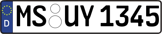 MS-UY1345