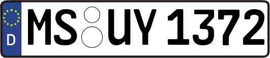 MS-UY1372
